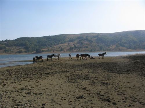 trekking con i muli-250.jpg